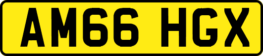 AM66HGX