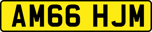 AM66HJM