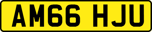 AM66HJU
