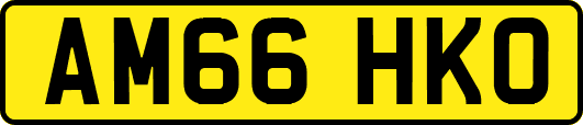 AM66HKO