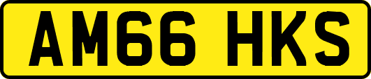 AM66HKS