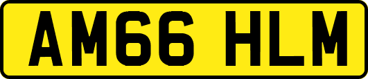 AM66HLM