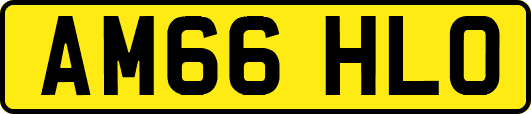 AM66HLO