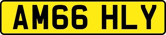 AM66HLY