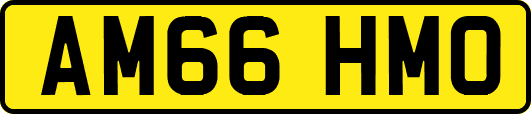 AM66HMO