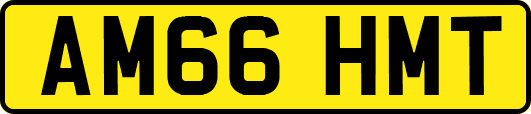AM66HMT