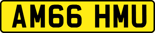 AM66HMU