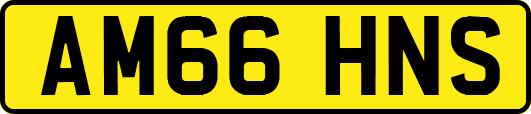 AM66HNS