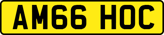 AM66HOC