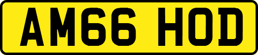 AM66HOD