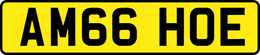AM66HOE