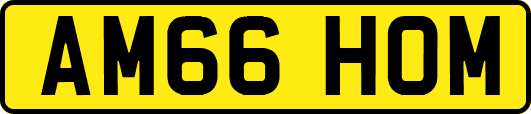AM66HOM