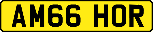 AM66HOR