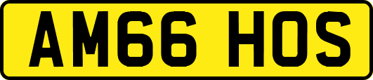 AM66HOS