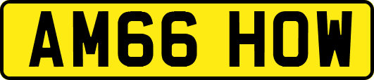 AM66HOW