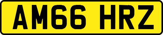 AM66HRZ