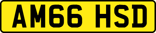 AM66HSD