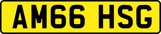 AM66HSG
