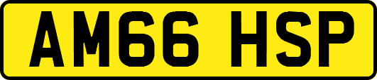 AM66HSP