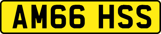 AM66HSS