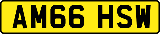 AM66HSW