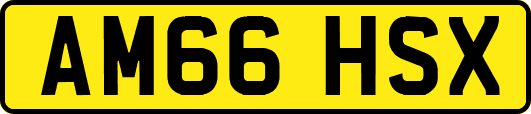AM66HSX