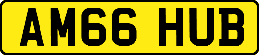 AM66HUB