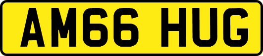 AM66HUG