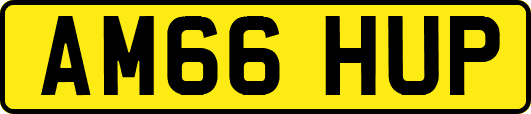 AM66HUP