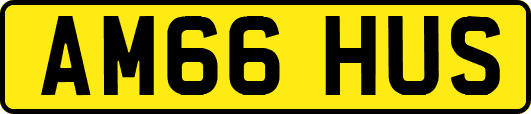 AM66HUS