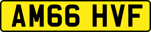 AM66HVF
