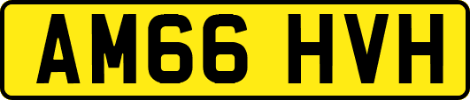 AM66HVH