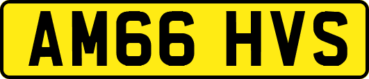 AM66HVS
