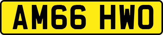 AM66HWO