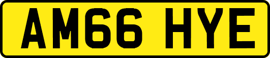 AM66HYE