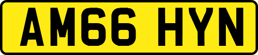 AM66HYN
