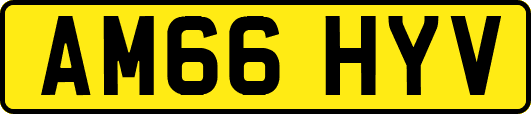 AM66HYV