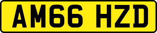 AM66HZD