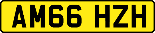 AM66HZH