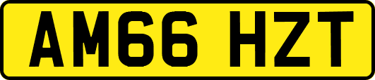 AM66HZT