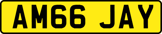 AM66JAY