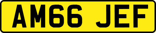 AM66JEF