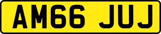 AM66JUJ