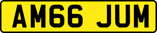 AM66JUM