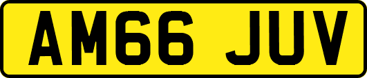 AM66JUV