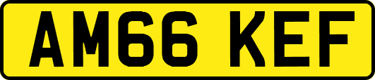 AM66KEF
