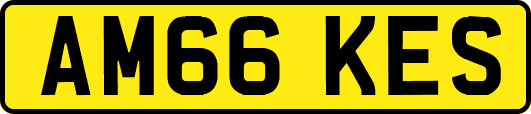 AM66KES