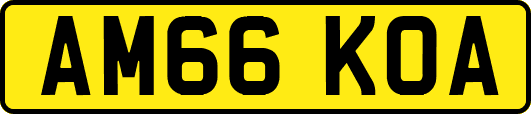 AM66KOA