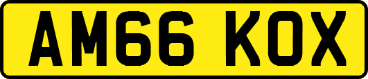 AM66KOX