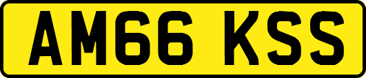AM66KSS